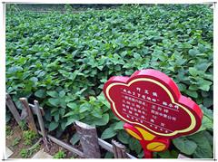 42923金牛版·(中国)官方网站