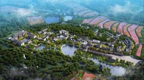 42923金牛版·(中国)官方网站