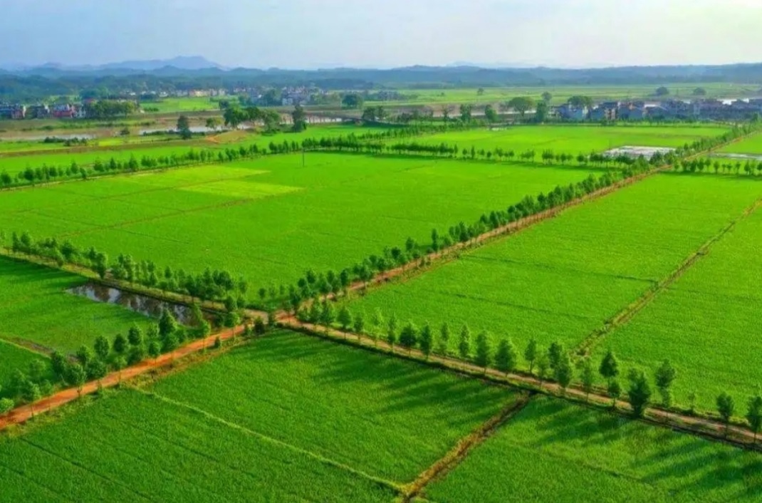 42923金牛版·(中国)官方网站