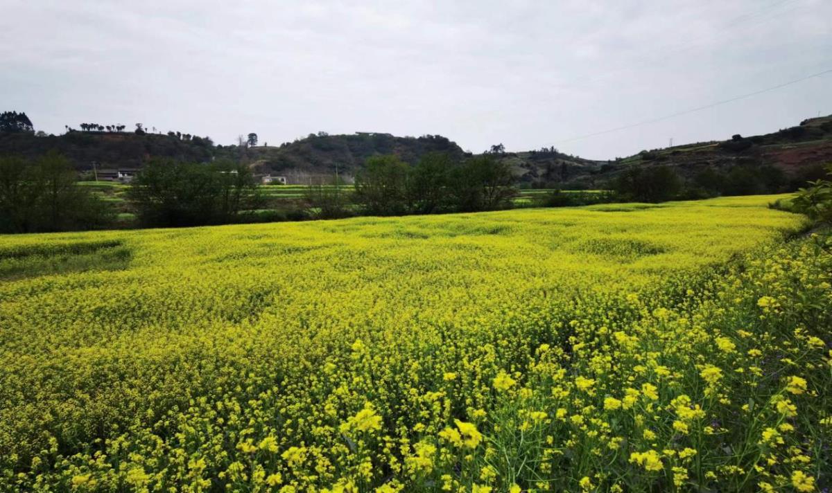 42923金牛版·(中国)官方网站