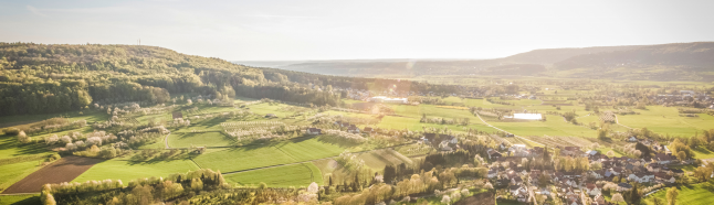 42923金牛版·(中国)官方网站