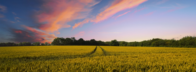 42923金牛版·(中国)官方网站