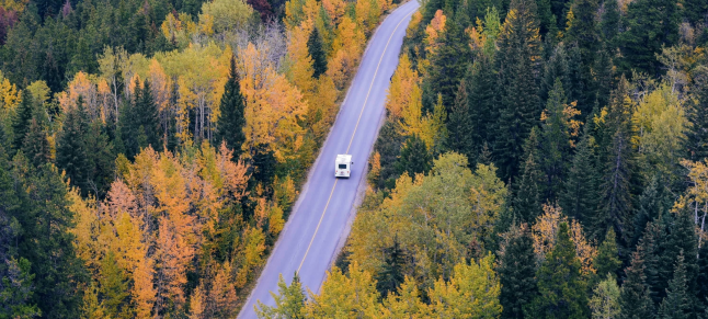 42923金牛版·(中国)官方网站