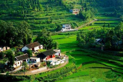 42923金牛版·(中国)官方网站