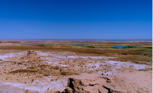 42923金牛版·(中国)官方网站