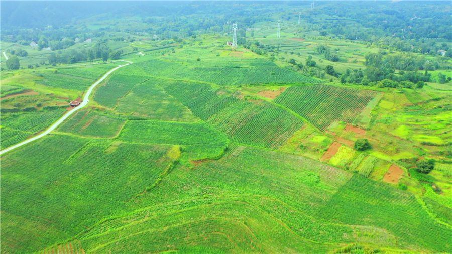 42923金牛版·(中国)官方网站