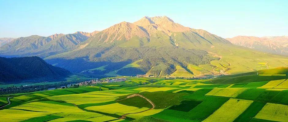 42923金牛版·(中国)官方网站