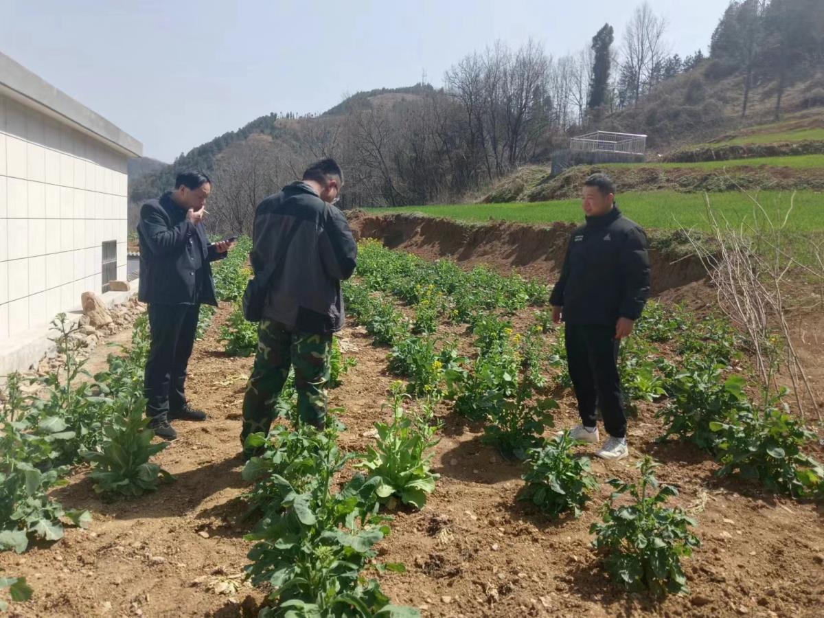 42923金牛版·(中国)官方网站