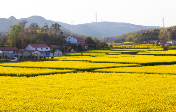 42923金牛版·(中国)官方网站