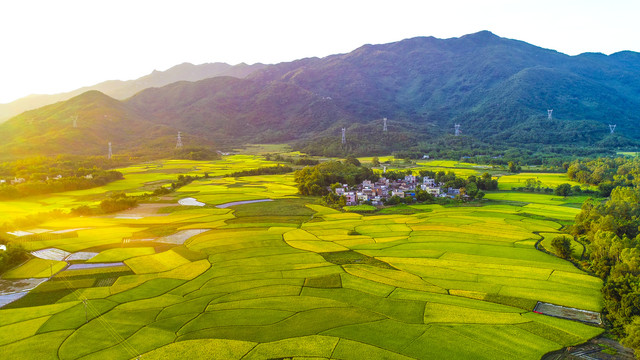 42923金牛版·(中国)官方网站