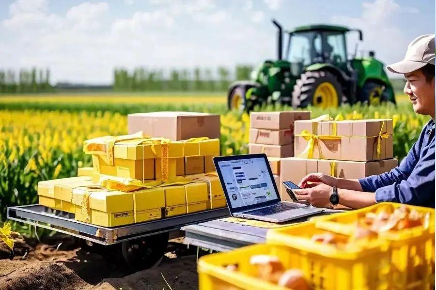 42923金牛版·(中国)官方网站