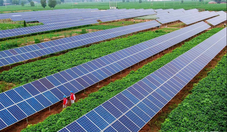 42923金牛版·(中国)官方网站