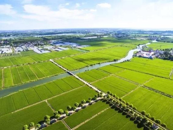 42923金牛版·(中国)官方网站