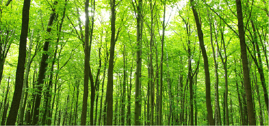 42923金牛版·(中国)官方网站