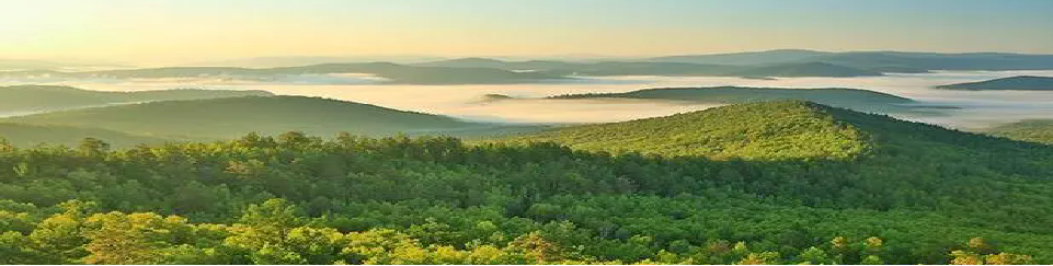 42923金牛版·(中国)官方网站