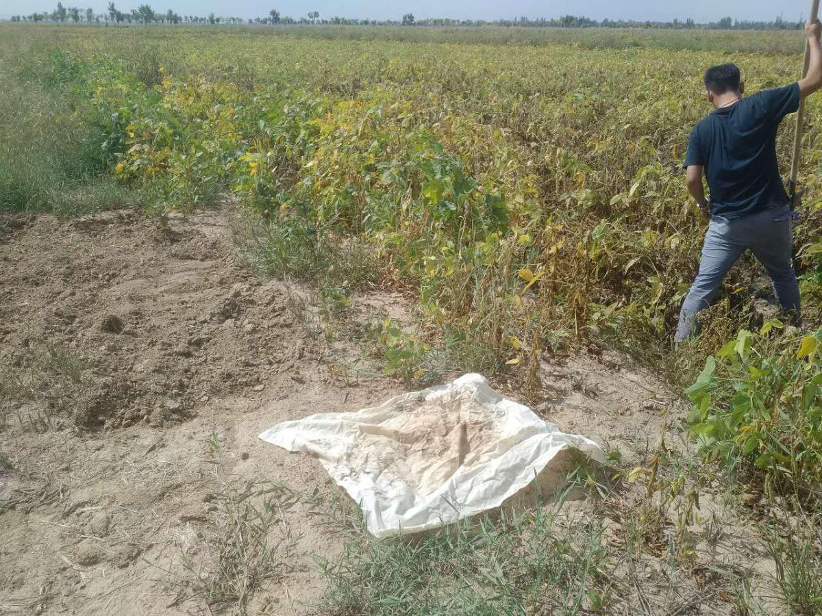 42923金牛版·(中国)官方网站