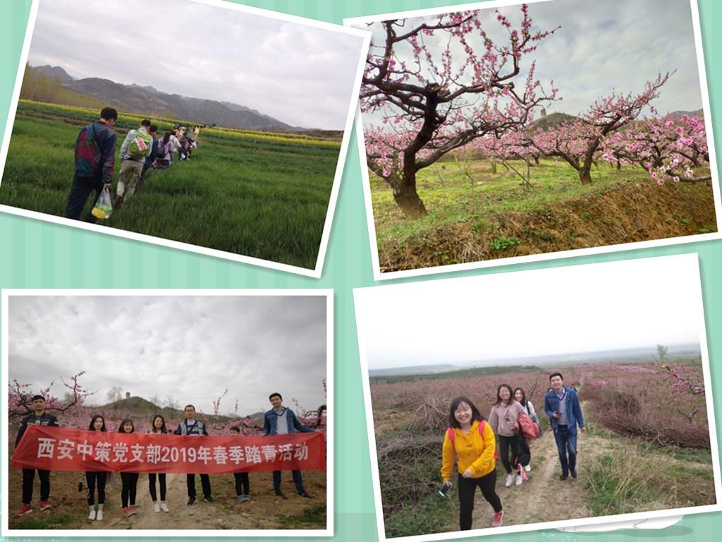 42923金牛版·(中国)官方网站