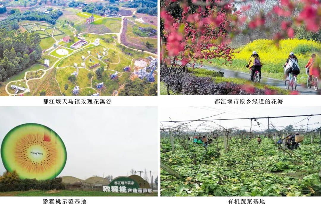 42923金牛版·(中国)官方网站