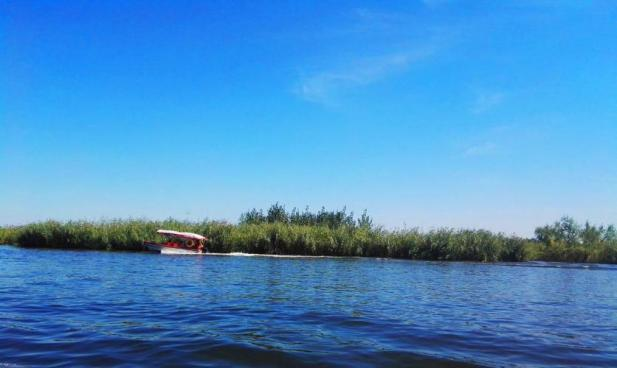 42923金牛版·(中国)官方网站