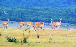 42923金牛版·(中国)官方网站