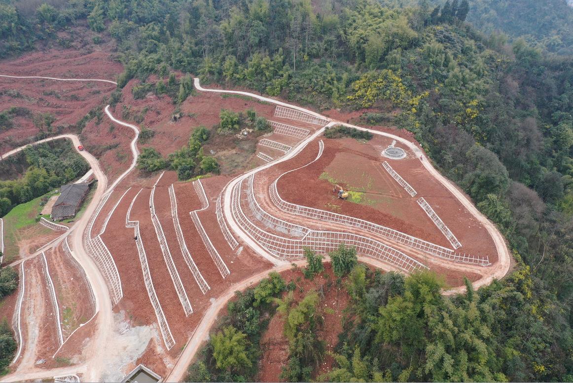 42923金牛版·(中国)官方网站